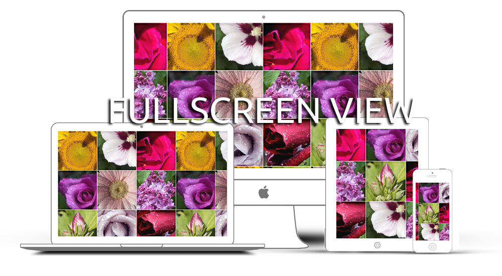 Infinite Drag Wall - Full Screen View example